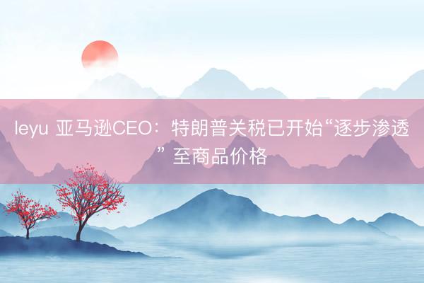 leyu 亚马逊CEO:特朗普关税已开始“逐步渗透” 至商品价格