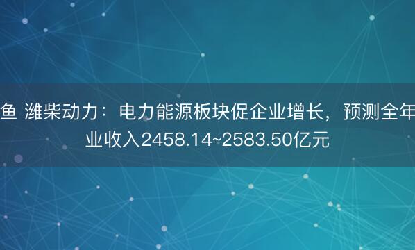 乐鱼 潍柴动力：电力能源板块促企业增长，预测全年营业收入2458.14~2583.50亿元