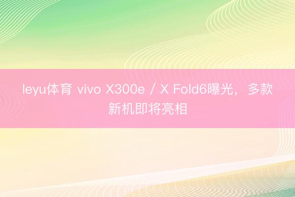 leyu体育 vivo X300e / X Fold6曝光，多款新机即将亮相