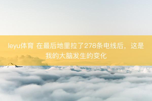 leyu体育 在最后地里拉了278条电线后，这是我的大脑发生的变化