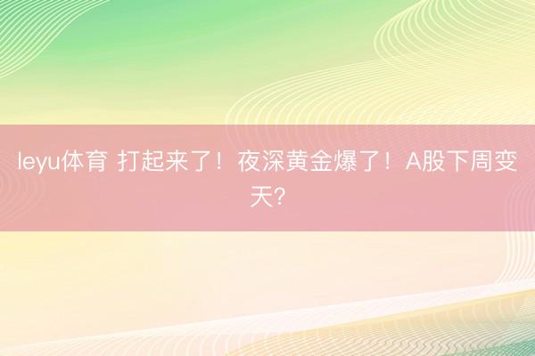 leyu体育 打起来了！夜深黄金爆了！A股下周变天？