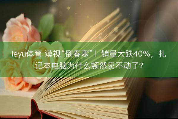 leyu体育 漠视“倒春寒”！销量大跌40%，札记本电脑为什么顿然卖不动了？