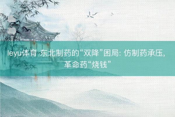 leyu体育 东北制药的“双降”困局: 仿制药承压, 革命药“烧钱”