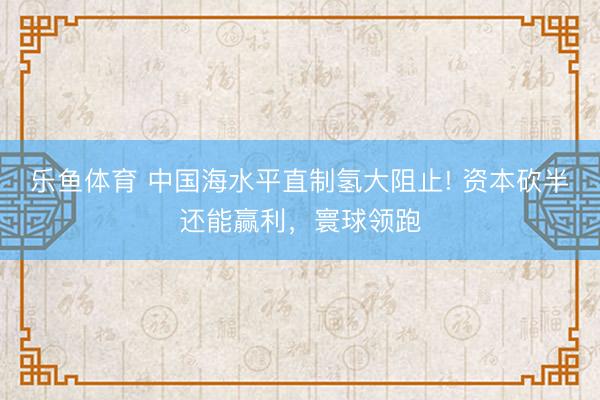 乐鱼体育 中国海水平直制氢大阻止! 资本砍半还能赢利，寰球领跑