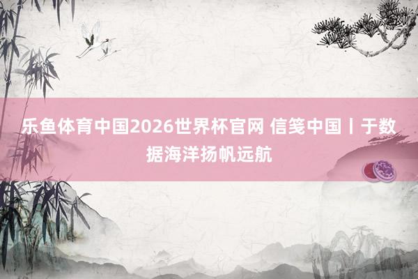 乐鱼体育中国2026世界杯官网 信笺中国丨于数据海洋扬帆远航