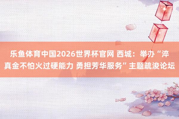 乐鱼体育中国2026世界杯官网 西城：举办“淬真金不怕火过硬能力 勇担芳华服务”主题疏浚论坛