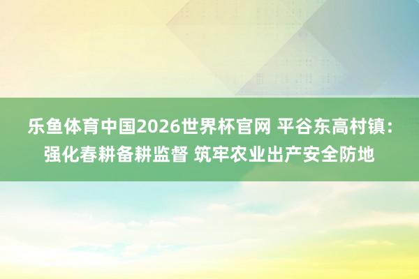 乐鱼体育中国2026世界杯官网 平谷东高村镇：强化春耕备耕监督 筑牢农业出产安全防地