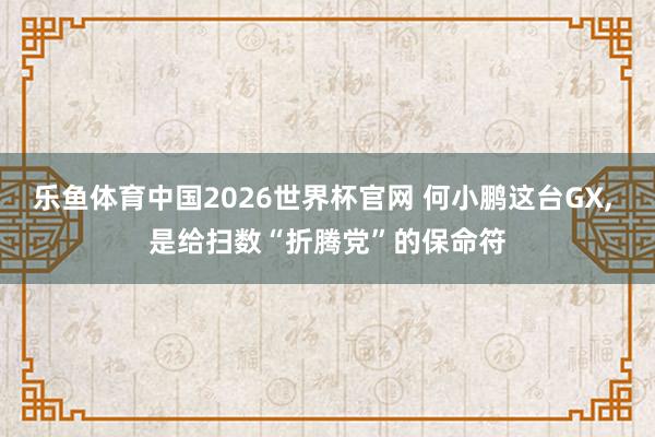 乐鱼体育中国2026世界杯官网 何小鹏这台GX， 是给扫数“折腾党”的保命符