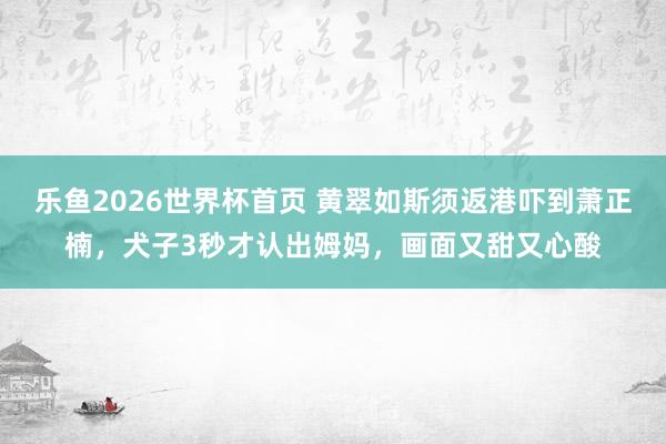 乐鱼2026世界杯首页 黄翠如斯须返港吓到萧正楠，犬子3秒才认出姆妈，画面又甜又心酸