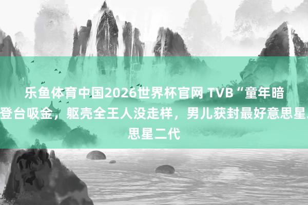 乐鱼体育中国2026世界杯官网 TVB“童年暗影”登台吸金，躯壳全王人没走样，男儿获封最好意思星二代