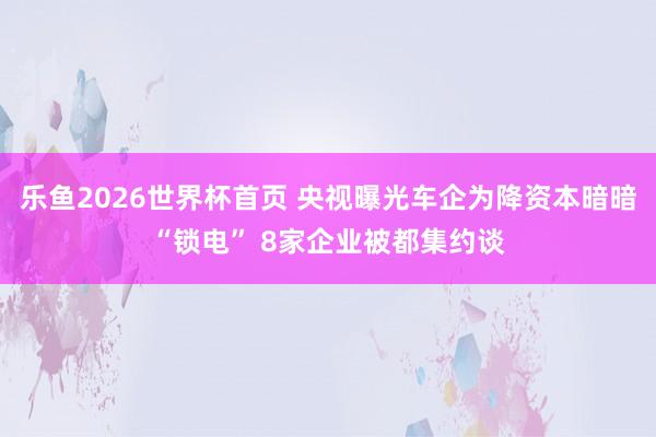 乐鱼2026世界杯首页 央视曝光车企为降资本暗暗“锁电” 8家企业被都集约谈