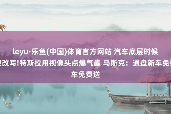 leyu·乐鱼(中国)体育官方网站 汽车底层时候再被改写!特斯拉用视像头点爆气囊 马斯克：通盘新车免费送