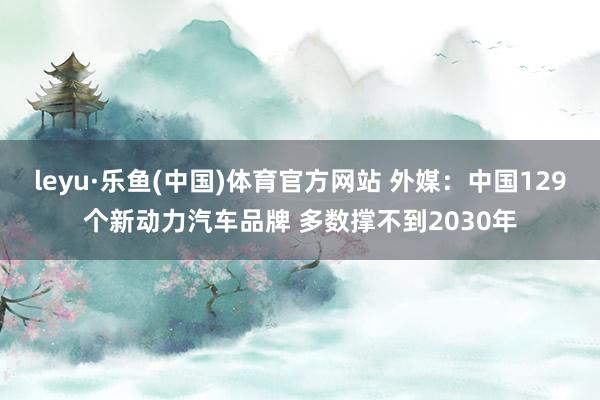leyu·乐鱼(中国)体育官方网站 外媒：中国129个新动力汽车品牌 多数撑不到2030年