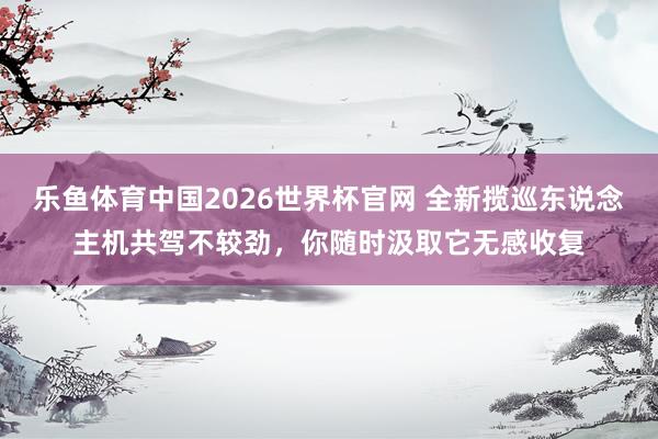乐鱼体育中国2026世界杯官网 全新揽巡东说念主机共驾不较劲，你随时汲取它无感收复