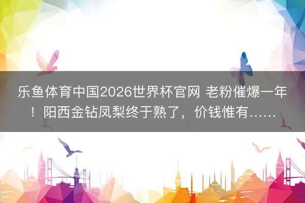 乐鱼体育中国2026世界杯官网 老粉催爆一年！阳西金钻凤梨终于熟了，价钱惟有……