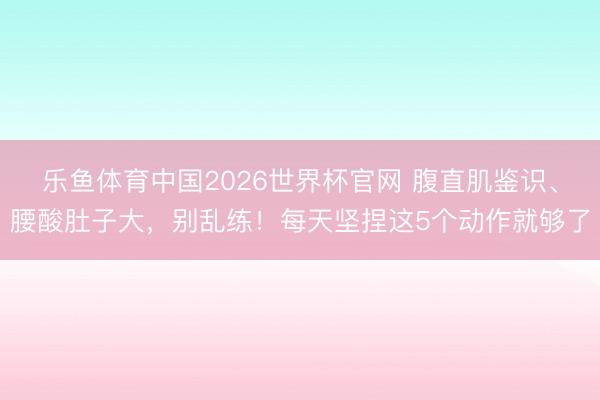 乐鱼体育中国2026世界杯官网 腹直肌鉴识、腰酸肚子大，别乱练！每天坚捏这5个动作就够了