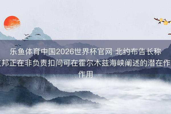 乐鱼体育中国2026世界杯官网 北约布告长称友邦正在非负责扣问可在霍尔木兹海峡阐述的潜在作用