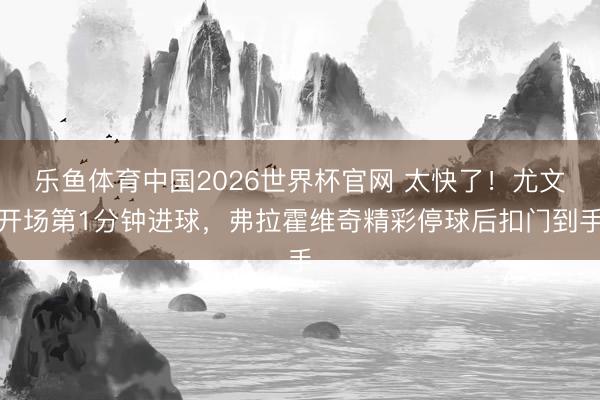 乐鱼体育中国2026世界杯官网 太快了！尤文开场第1分钟进球，弗拉霍维奇精彩停球后扣门到手