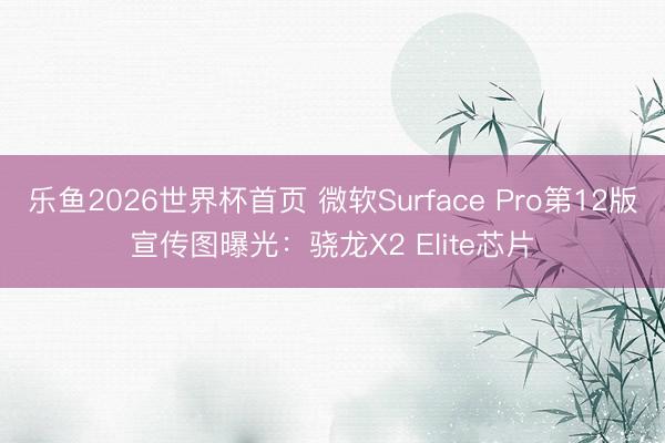 乐鱼2026世界杯首页 微软Surface Pro第12版宣传图曝光：骁龙X2 Elite芯片