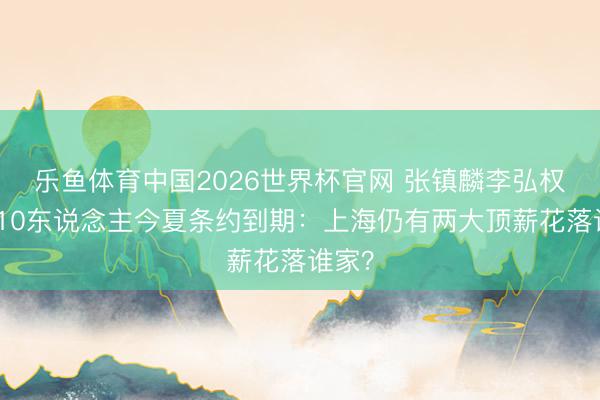 乐鱼体育中国2026世界杯官网 张镇麟李弘权领衔10东说念主今夏条约到期：上海仍有两大顶薪花落谁家？