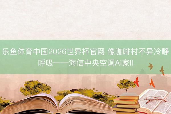 乐鱼体育中国2026世界杯官网 像咖啡村不异冷静呼吸——海信中央空调Ai家II