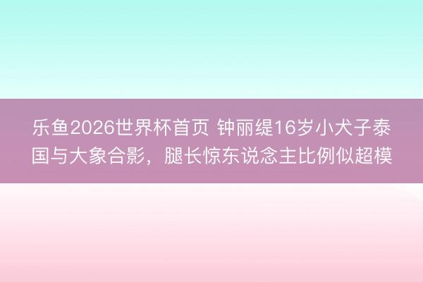 乐鱼2026世界杯首页 钟丽缇16岁小犬子泰国与大象合影，腿长惊东说念主比例似超模