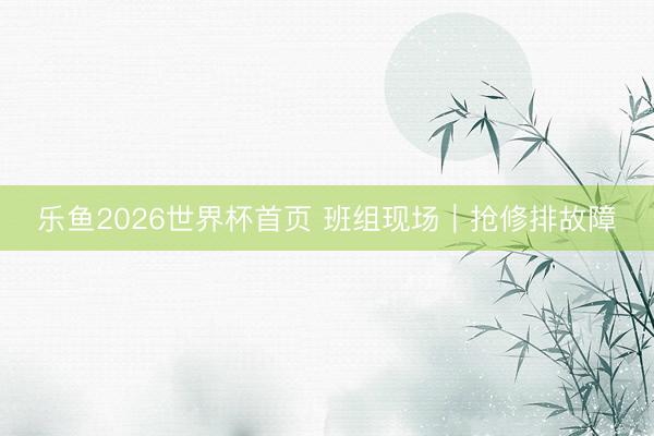 乐鱼2026世界杯首页 班组现场｜抢修排故障