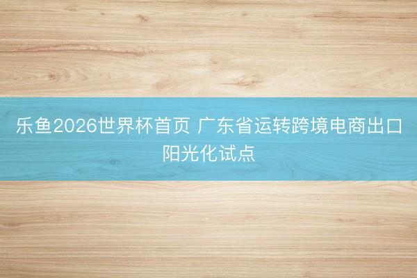 乐鱼2026世界杯首页 广东省运转跨境电商出口阳光化试点
