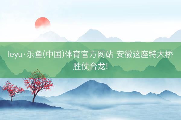 leyu·乐鱼(中国)体育官方网站 安徽这座特大桥胜仗合龙!