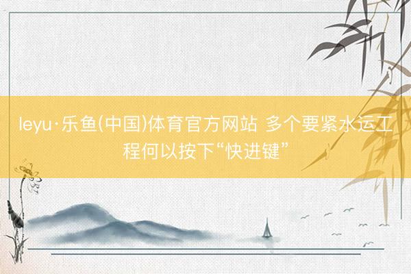 leyu·乐鱼(中国)体育官方网站 多个要紧水运工程何以按下“快进键”